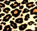 cream black brown leopard