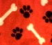 red paws and bones